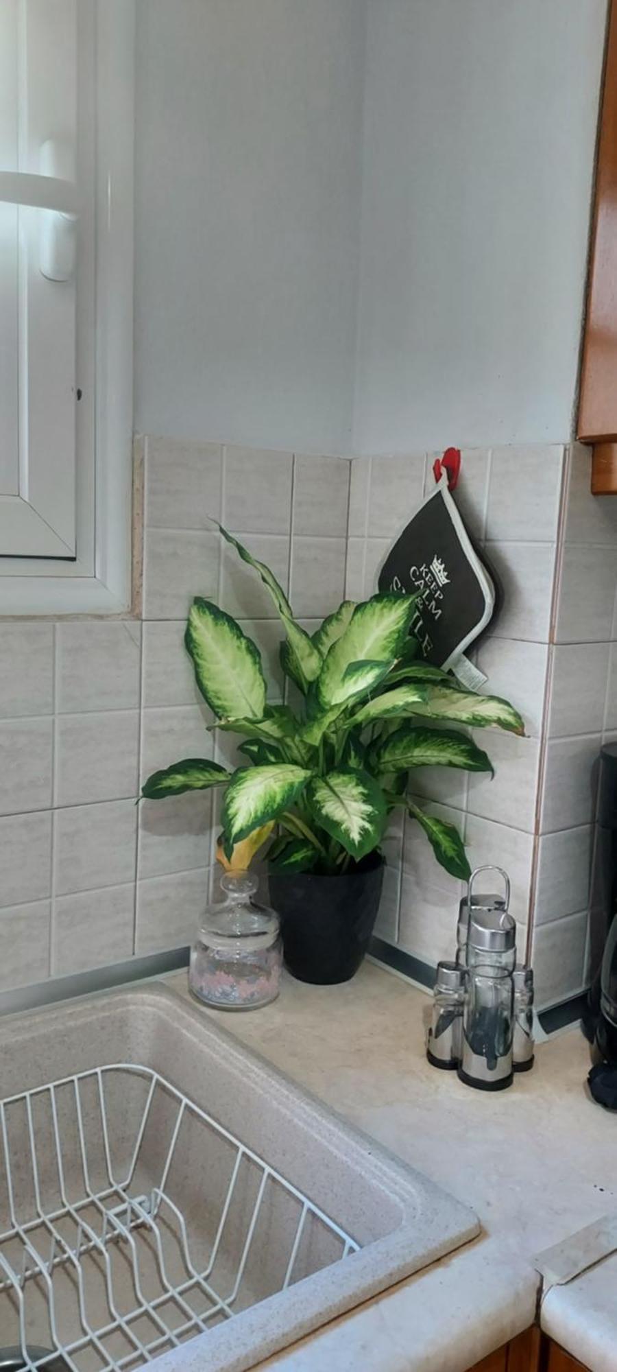Apartment Like Your Komotini